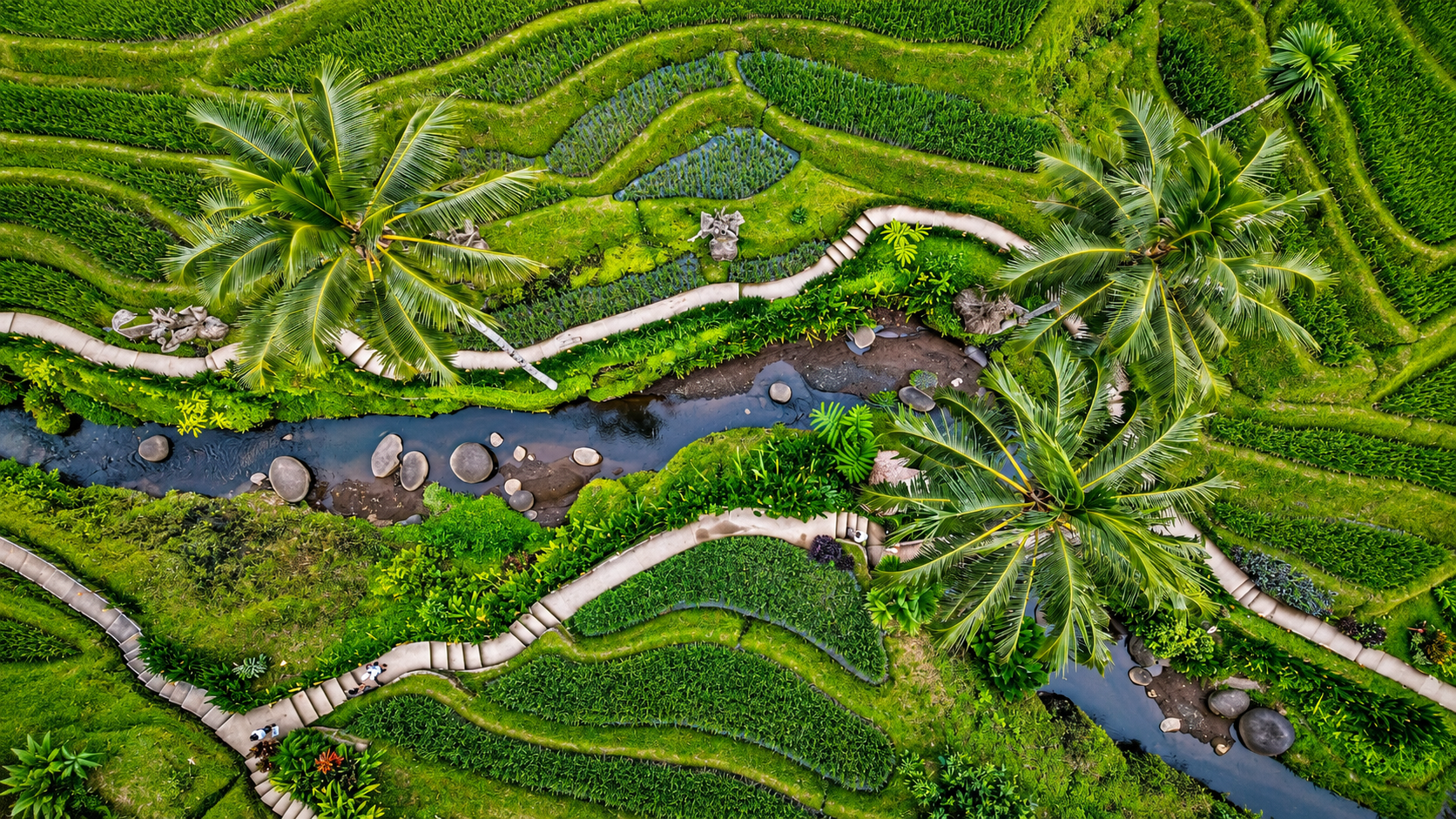 Aerial view of lush tropical rice terraces in Bali.